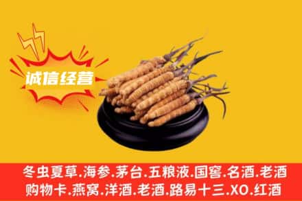 河池回收冬虫夏草